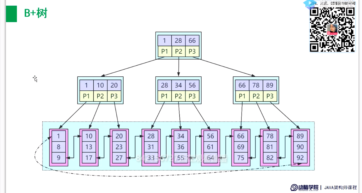 bplug树